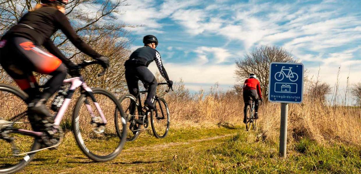 den fynske herregårdsrute