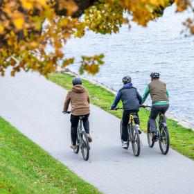 Family cycling in the woods