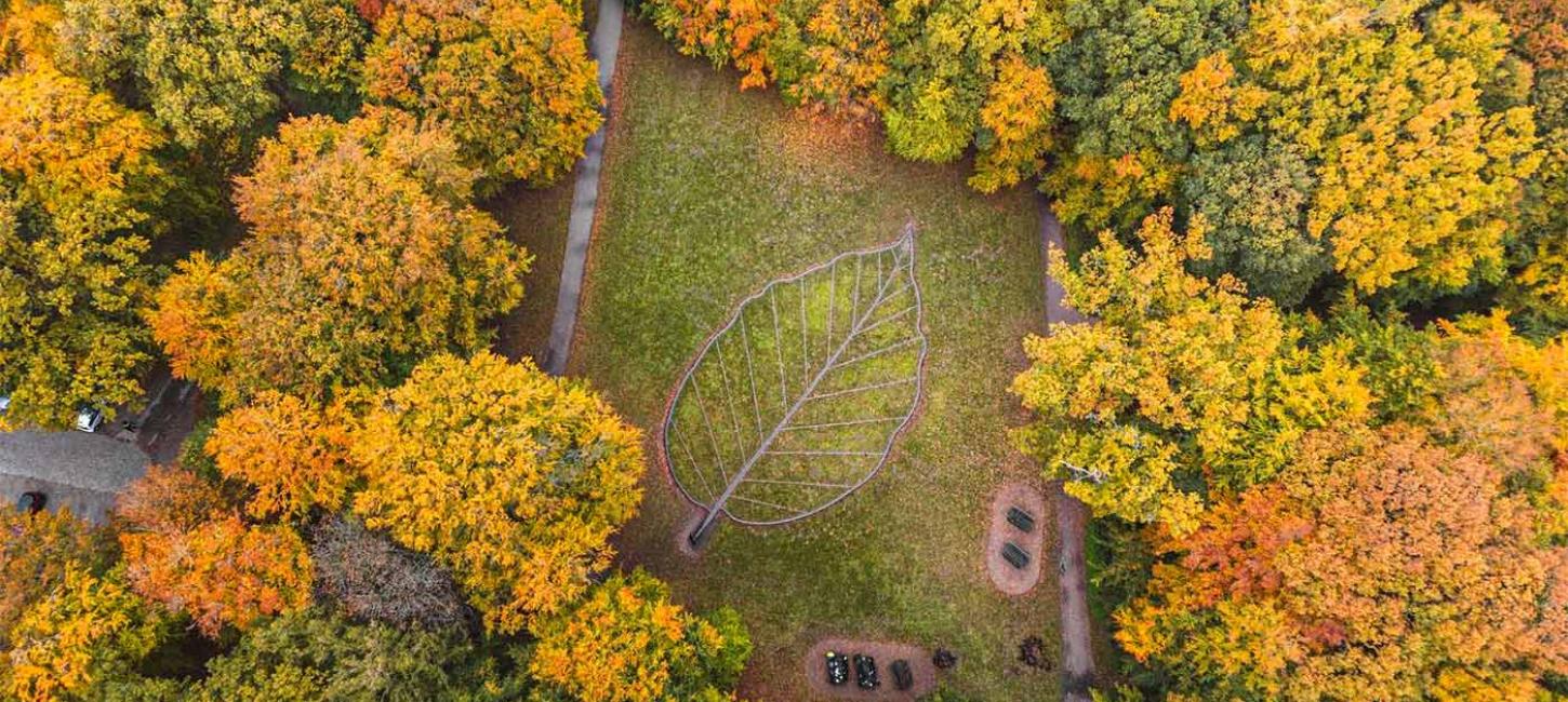 drone efteraarsbillede af bladet i fruens boege