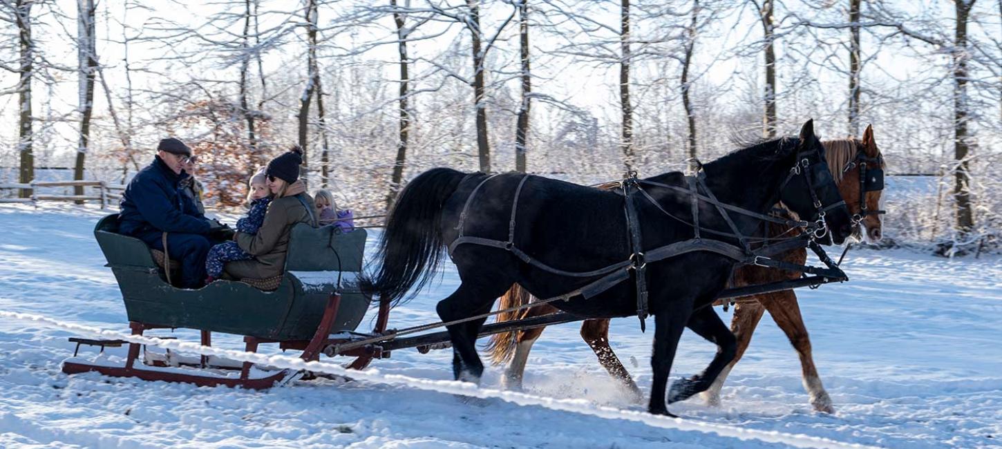 Sleighride at the Funen Village