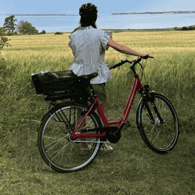 Vikingeruten - Munkebo Bakke